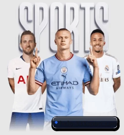 help-333sport.com的故事 - 体育资讯内容服务
